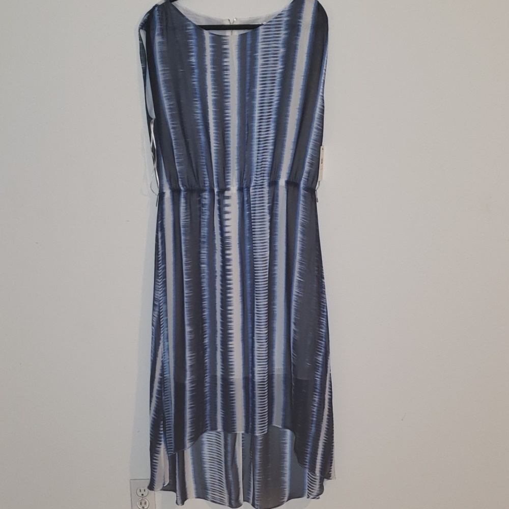 Blue Dress